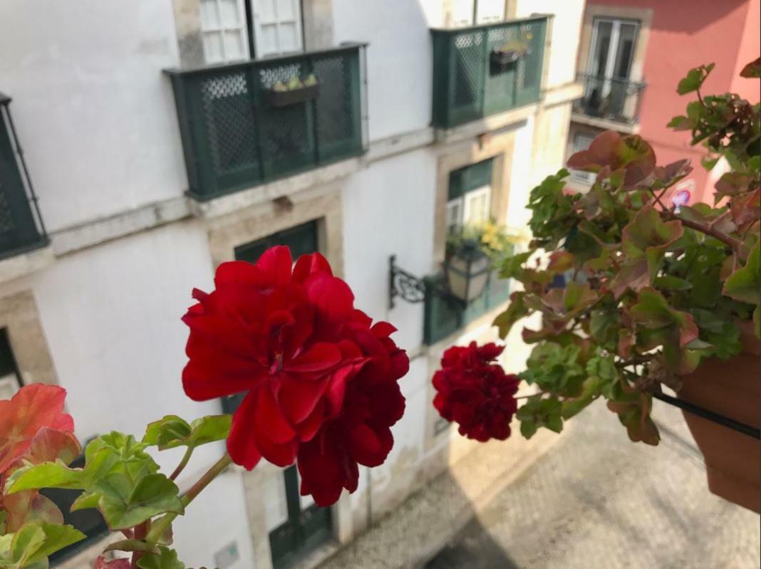 Ferienwohnung In The Heart Of Lissabon Exterior foto